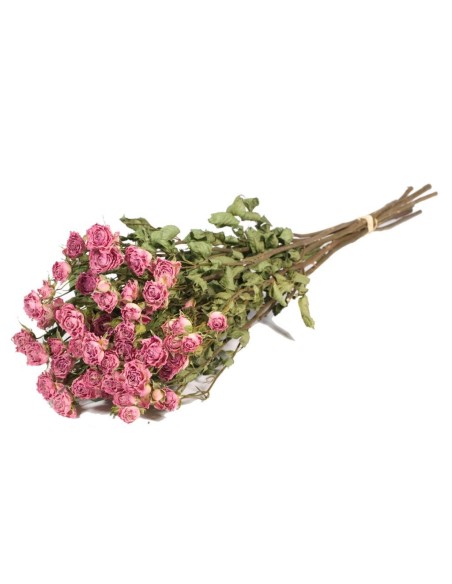 ROSAS SPRAY NATURAL ROSA CLARO