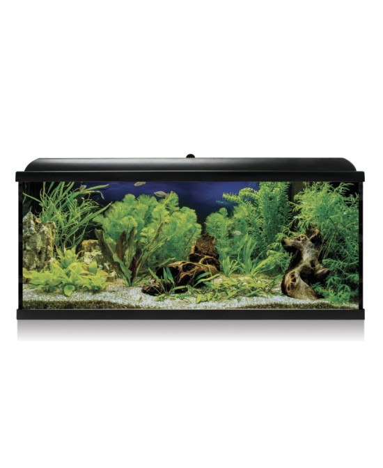 KIT INTERIOR AQUALED 130 NEGRO