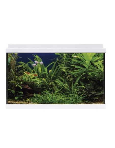 KIT LITE AQUALED 64 BLANCO