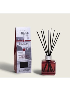 AMBIENTADOR BOUQUET ANTI OLORES COCINA