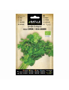 Semilla Eco Perejil Común Hoja Grande Batlle  Cultivo Ecológico y Fácil | Endanea Garden