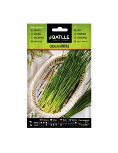 Semillas de Cebollino Anual  Cultiva Cebollino Fresco y Aromático | Endanea Garden

