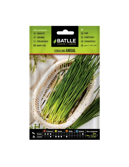 Semillas de Cebollino Anual  Cultiva Cebollino Fresco y Aromático | Endanea Garden


