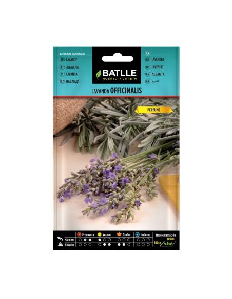 Semilla Lavanda Officinalis Batlle - Alta Calidad y Fácil Cultivo | Endanea Garden