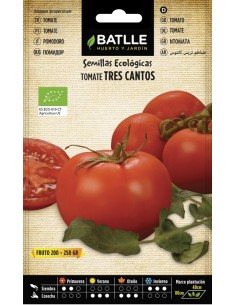 Semilla Eco Tomate Tres Cantos | Tomates Ecológicos y Sabrosos  Endanea Garden

