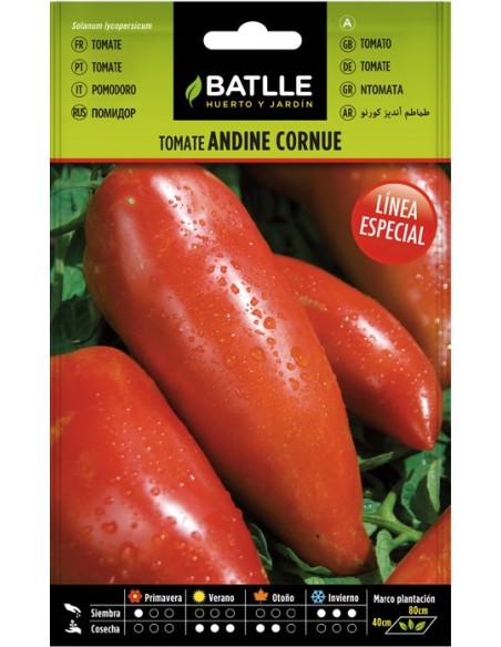 Semilla Tomate Andina Cornue | Orgánica y Productiva | Endanea Garden
