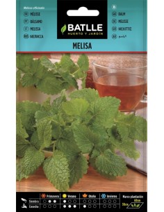Semillas Melisa Officinalis (Toronjil) | Aromática, Medicinal y Fácil Cultivo | Endanea Garden

