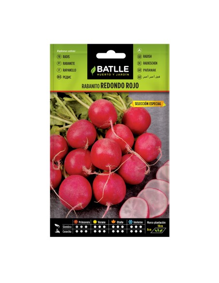 Semillas de Rabanito Redondo Rojo  Cosecha Rápida y Sabor Picante | Endanea Garden

