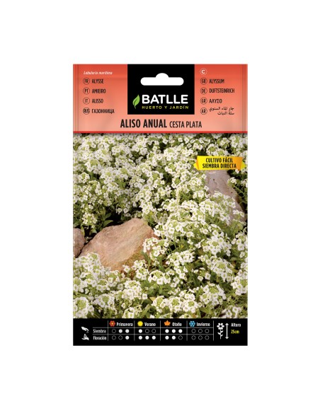 Semilla Aliso Anual Cesta Plata Batlle  Flores Plateadas y Elegantes | Endanea Garden