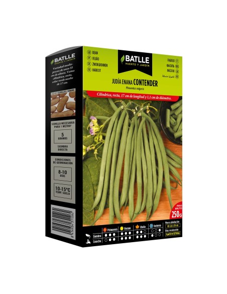 Semillas Judía Contender 250g  Alta Calidad y Cosecha Abundante | Endanea Garden


