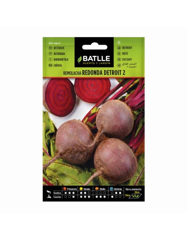 Semillas Remolacha Detroit Battle  Alto Rendimiento y Sabor Dulce | Endanea Garden

