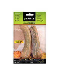 Semilla Calabaza Mallueca Batlle  Cultiva Calabazas Grandes y Sabrosas | Endanea Garden

