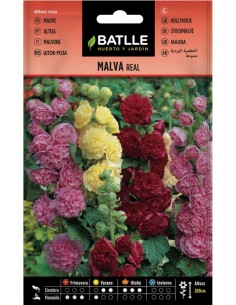 Semillas de Malva Real (Malva sylvestris)  Flor Ornamental y Medicinal | Endanea Garden

