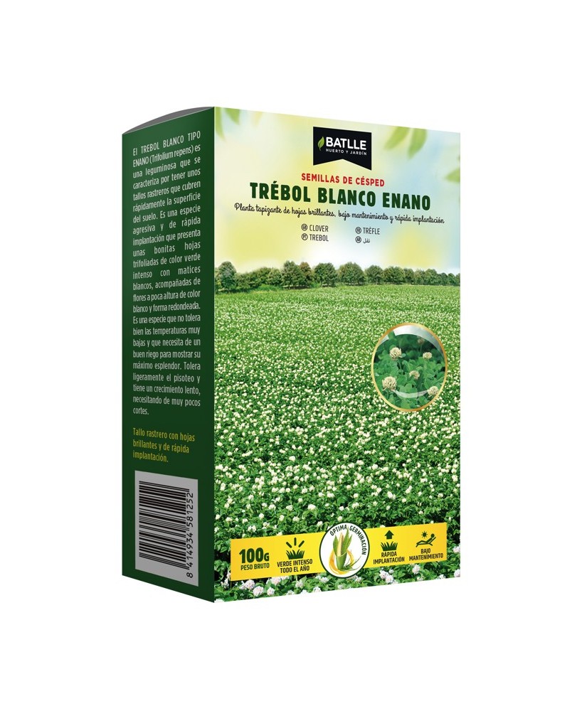 Semilla Trébol Enano Repens 250g  Cobertura Verde Compacta y Resistente | Endanea Garden

