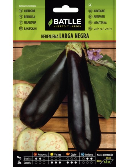 Semilla Berenjena Larga Negra  Cultiva Berenjenas Frescas y Saludables | Endanea Garden