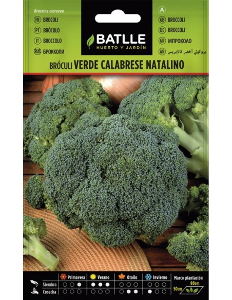 Semillas de Brócoli Verde Calabrese  Cultiva Brócoli Fresco y Saludable | Endanea Garden