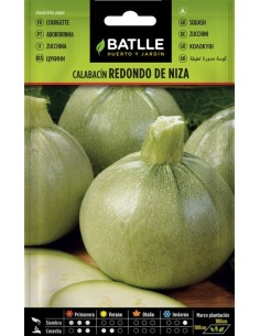 Semillas de Calabacín Rojo de Niza  Cultivo Fácil y Sabor Delicado | Endanea Garden

