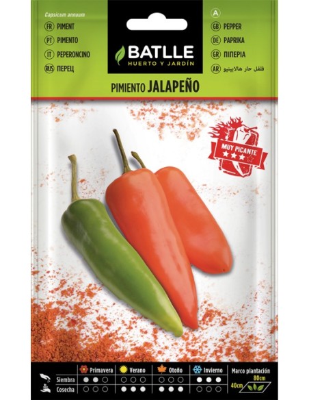 Semillas de Pimiento Jalapeño | Cultiva Pimientos Picantes en Casa | Endanea Garden

