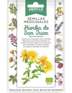 Semilla Hierba San Juan (Hypericum) Medicinal y Fácil de Cultivar | Endanea Garden

