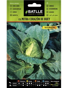 Semilla Col Mitra Corazón de Buey | Cosecha Abundante y Sabor Intenso | Endanea Garden

