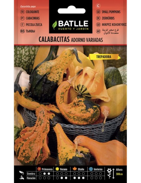 Semillas de Calabacitas Adorno  Cultivo Fácil y Decorativo | Endanea Garden

