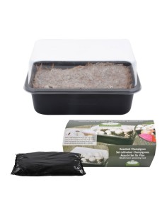 SET DE CULTIVO DE SETAS ESSCHERT