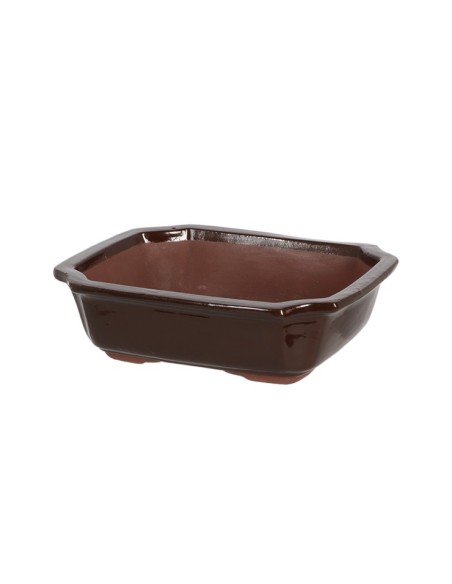 Tiesto Bonsai M Tiesto Cerámica para Bonsáis Medianos Resistente y Estético