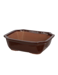 Tiesto Bonsái L de cerámica para bonsáis medianos y grandes | Endanea Garden