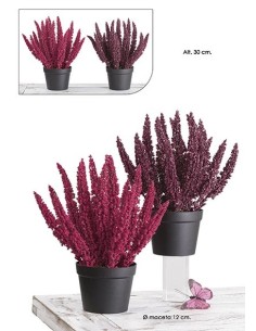 BREZO BURDEOS EN MACETA 30CM