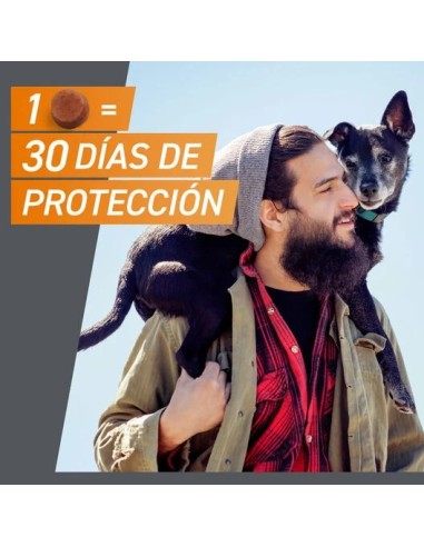 FrontPro antiparasitario perros 10 a 25 kg 3 comprimidos masticables contra pulgas y garrapatas