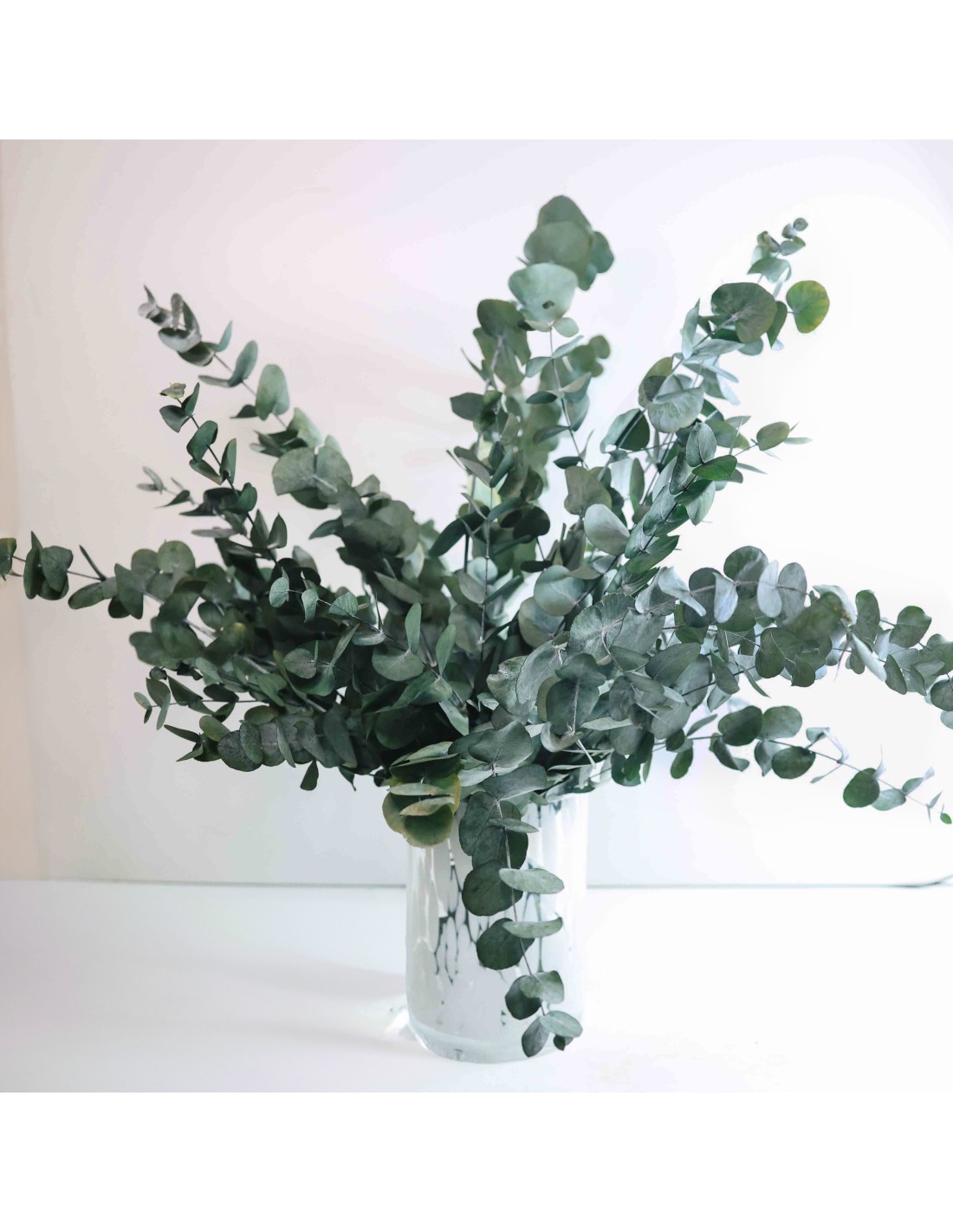 Ramo 24 Rosas Fresco Ramo De 24 Con Envío Gratis 24h - Flores Frescas Con  Tarjeta Personalizada | Ideal Para Regalo De San Valentín, Cumpleaños O  Aniversario Rosas Naturales, image size:1100x1422