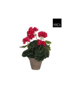 GERANIO D. ROSA EN MACETA 11.5X34X20CM