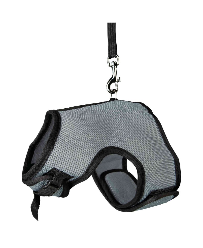 ARNES SUAVE CORREA CONEJOS GRANDE 25-40CM