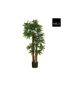 PACHIRA ARBOL ARTIFICIAL 175X85CM  VERDE
