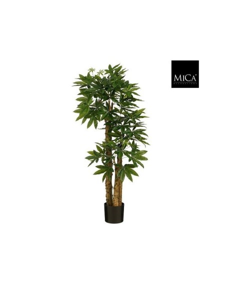 PACHIRA ARBOL ARTIFICIAL 175X85CM  VERDE