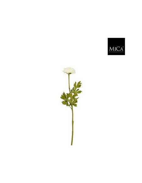 RAMA RANUNCULO  56CM CREMA