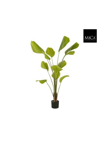 PALMERA ABANICOARTIFICIAL EN MACETA 150X710CM  VERDE