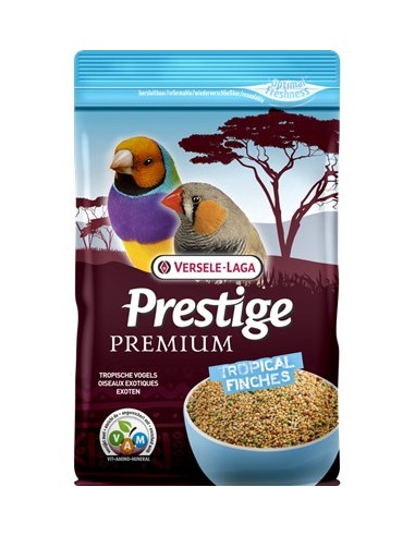 EXOTICOS PREMIUM 800GR