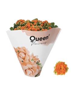 KALANCHOE BLOSS ORANGE