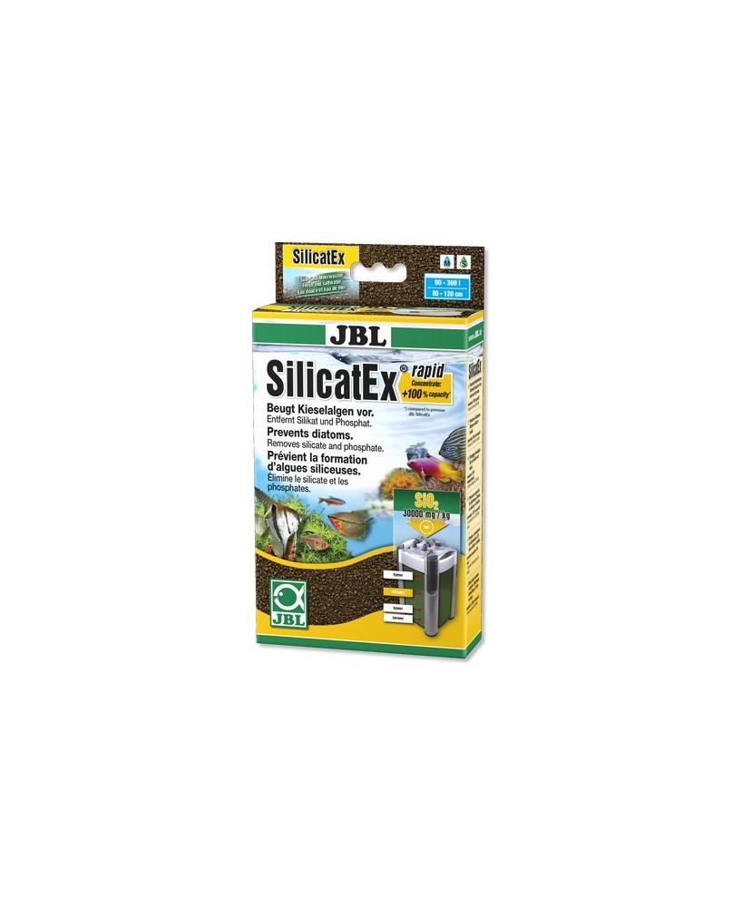 SILIKATEX RAPID