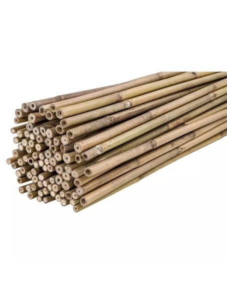Tutor Bambú 180 cm 20/22 mm | Soporte Ecológico y Resistente para Plantas - Endanea Garden