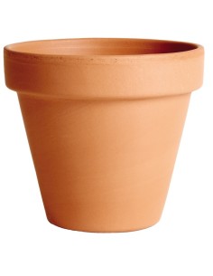 Maceta de Terracota 23 cm  Elegancia y Durabilidad para Jardín y Hogar | Endanea Garden