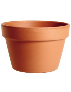 Minimaceta Terracota 25 cm | Maceta Rústica para Plantas Pequeñas - Endanea Garden