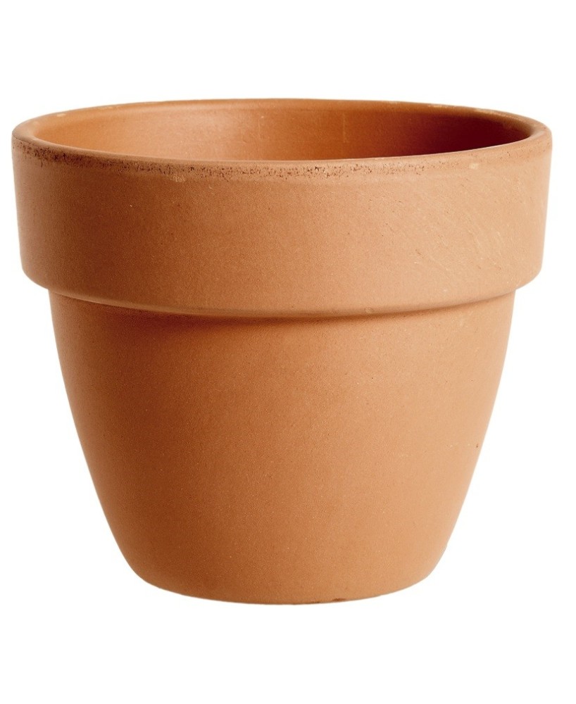 Maceta Cocio Paladio Terra 25CM | Elegancia y Resistencia para Interior y Exterior

