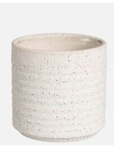 Maceta Cactus Grol Blanco 7x8 cm  Ideal para Suculentas y Cactus