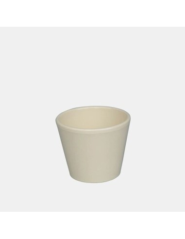 Vaso Cactus Crema 7x7 cm | Maceta Moderna y Resistente para Hogar y Jardín

