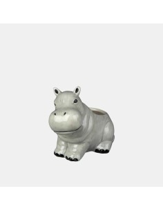 Maceta Cactus Hipo 2 Mixtos 16x10x13 cm  Ideal para Cactus y Suculentas | Endanea Garden