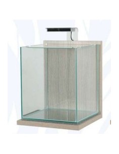 JALAYA XL ZEBRANO ACUARIO