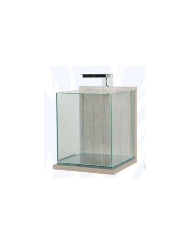 JALAYA XL ZEBRANO ACUARIO