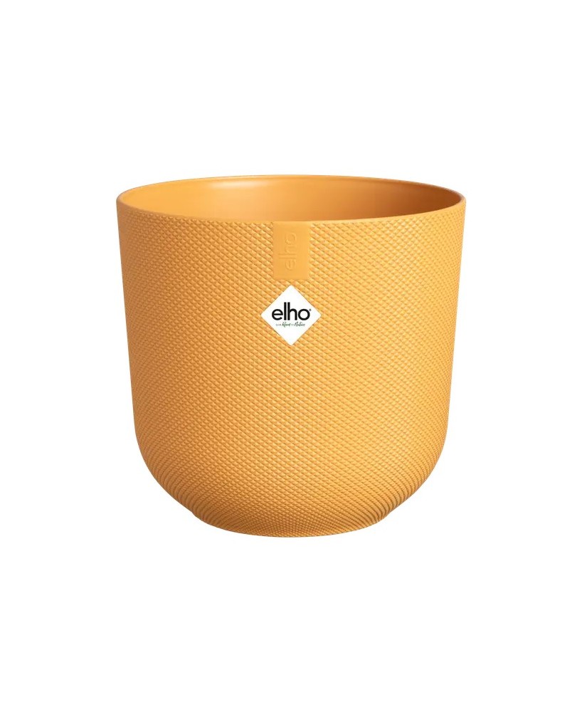 Maceta Jazz 16 cm Amarilla | Diseño Moderno y Vibrante para Decorar tu Hogar y Jardín

